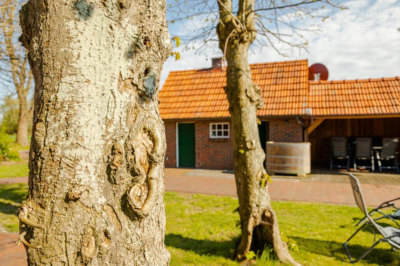 Reetdach Ostfriesenhaus Villa Sudbrookmerland Exterior photo